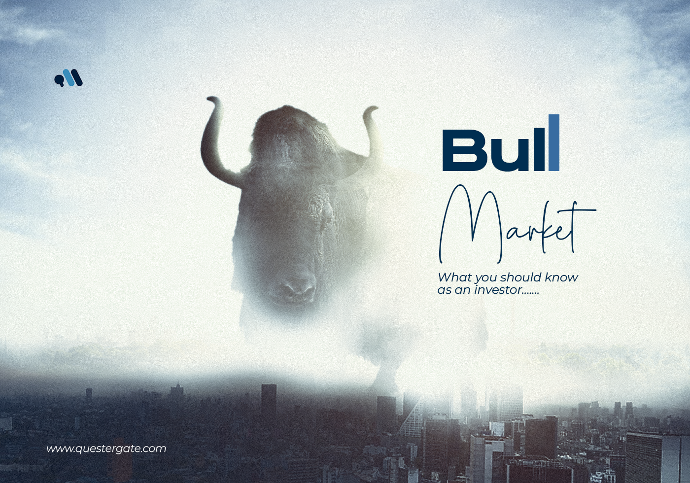 Qg bull market custom image